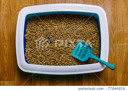 Cat's litter box with filler and scoop on a floor Cat's litter box with filler and scoop on a floor 77846858