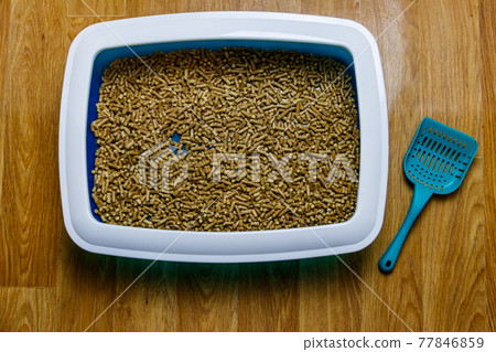 Cat's litter box with filler and scoop on a floor Cat's litter box with filler and scoop on a floor 77846859