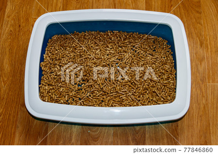 Cat's litter box with filler on a floor. Top view Cat's litter box with filler on a floor. Top view 77846860
