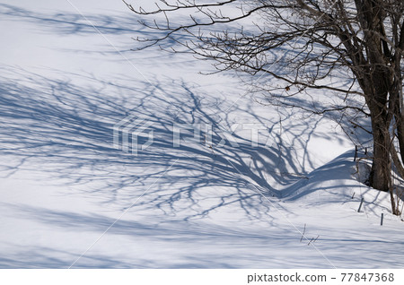 Snow shadow art Snow shadow art 77847368