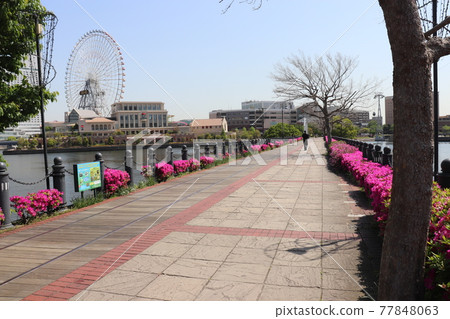 Kisha-michi Minato Mirai Yokohama Rinko Line Abandoned Line Yokohama Kanagawa 77848063