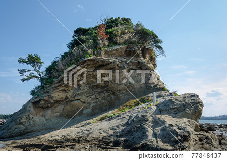 Dosan Dosan 77848437