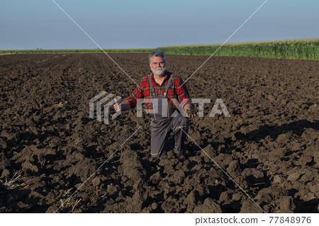 Farmer analyze arable land Farmer analyze arable land 77848976