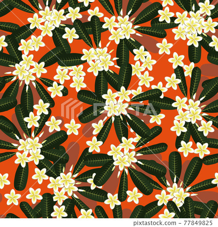 Retro plumeria pattern. Seamless pattern. Material for wallpaper and wrapping paper. Textile design. 77849825