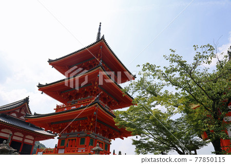 初夏清水寺 初夏清水寺 77850115