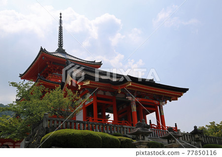 初夏清水寺 77850116