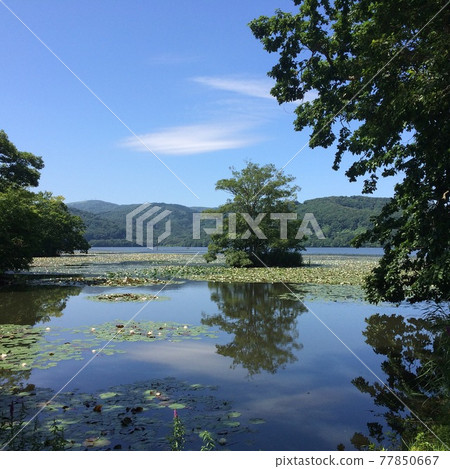 Summer sky and Onuma Summer sky and Onuma 77850667