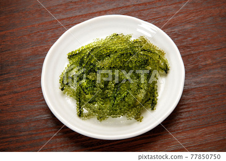 Okinawa, Miyakojima sea grapes Okinawa, Miyakojima sea grapes 77850750