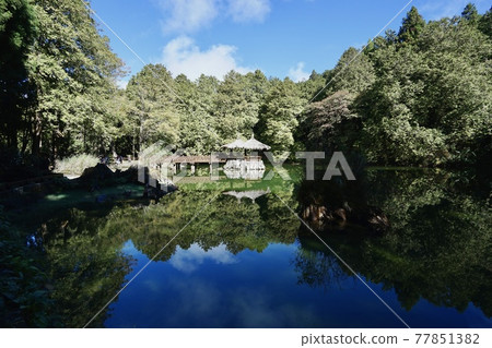 阿里山國家森林遊樂區姐妹湖 77851382