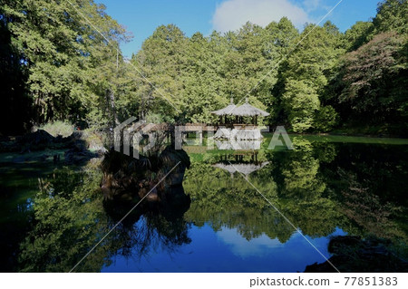 阿里山國家森林遊樂區 77851383