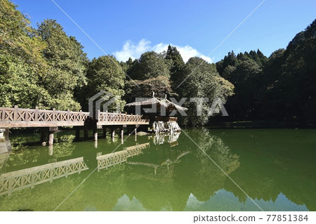 阿里山國家森林遊樂區 77851384