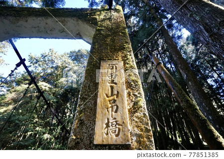 阿里山吊橋 阿里山吊橋 77851385