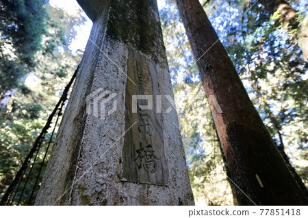 阿里山吊橋 77851418