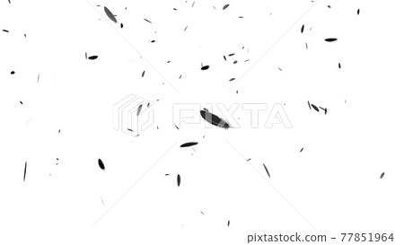 Black feather dancing white background CG background wallpaper 77851964