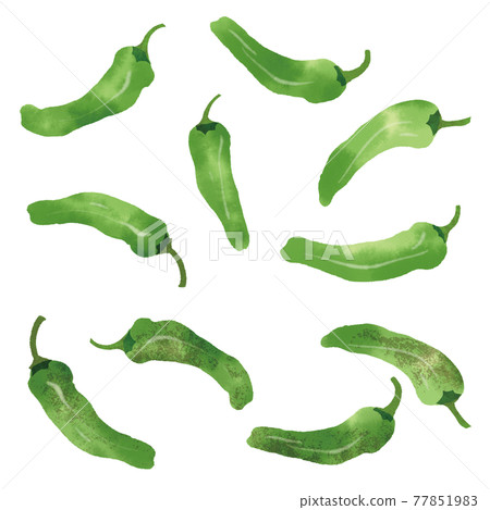 Hand-drawn illustration of green pepper 77851983