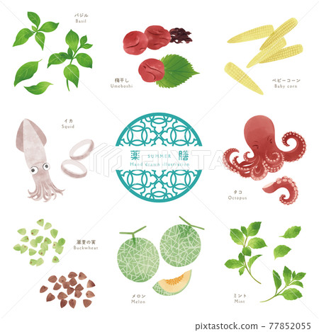 Summer medicinal food / hand-drawn illustration of ingredients-2 77852055