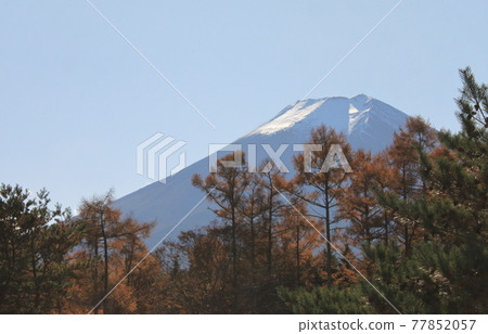 Seasonal news 77852057