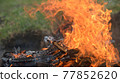 unpredictable game of live fire 77852620