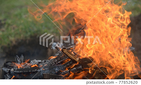 unpredictable game of live fire unpredictable game of live fire 77852620