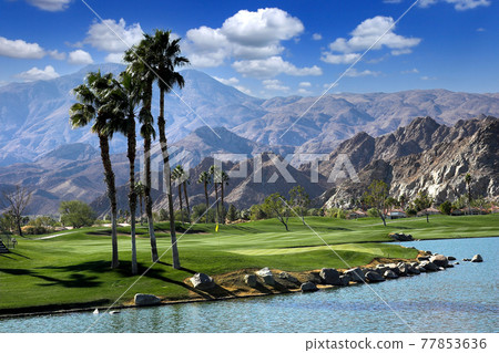 golf courseat sunset  in palm springs, california 77853636