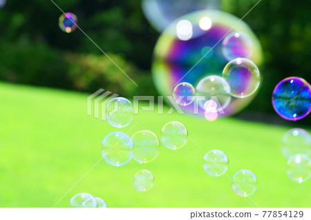 在田間追逐肥皂泡 77854129