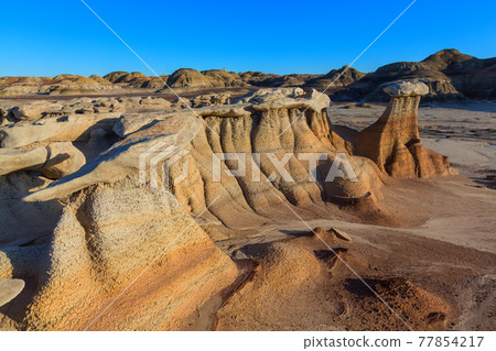 Bisti Bisti 77854217