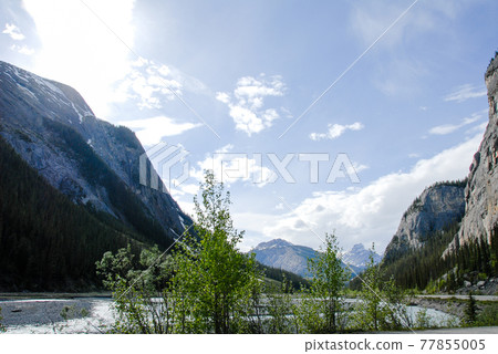 Spring Canadian Rockies Banff National Park Icefield Parkway and North Saskatchewan River 77855005