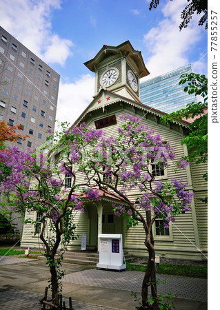 Sapporo City Clock Tower 77855257