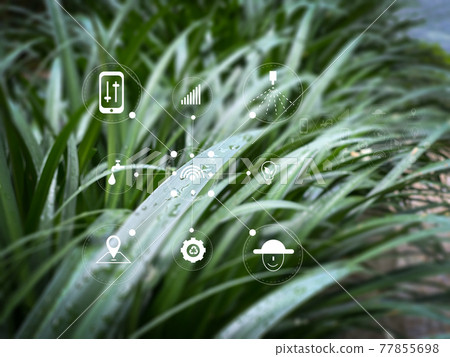 agriculture technology concept man Agronomist Using a Tablet Internet of things report 77855698