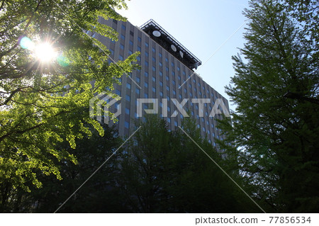 仙台市青葉區仙台聯合政府大樓B附近 77856534