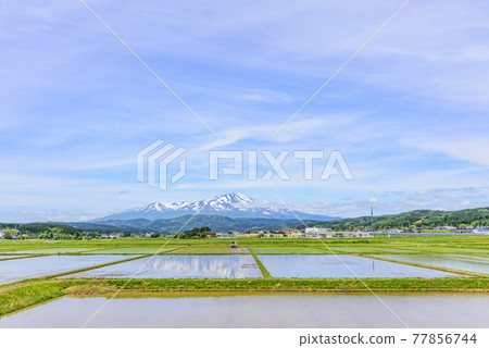 從莊內平原眺望鳥海山 77856744