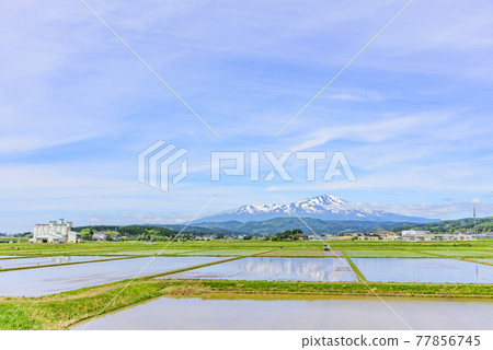 從莊內平原眺望鳥海山 從莊內平原眺望鳥海山 77856745
