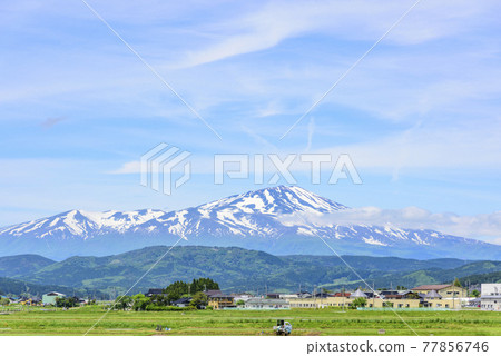 從莊內平原眺望鳥海山 77856746