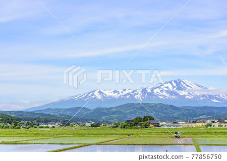 從莊內平原眺望鳥海山 77856750