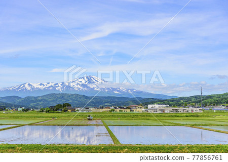 View of Mt. Chokai from the Shonai Plain 77856761