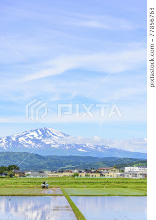 從莊內平原眺望鳥海山 77856763