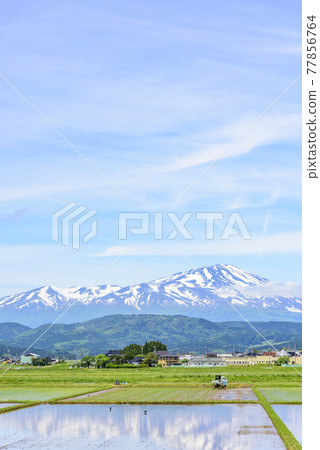 從莊內平原眺望鳥海山 77856764