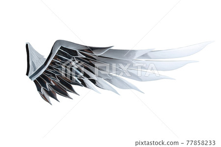 Beautiful mirror angel wing isolated on white background with clipping path Beautiful mirror angel wing isolated on white background with clipping path 77858233