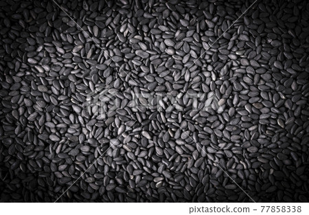 close up of Background of black wild rice. Selective focus close up of Background of black wild rice. Selective focus 77858338