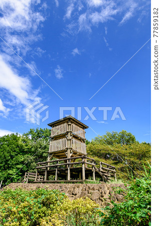 (埼玉縣)盛夏的西城沼公園 (埼玉縣)盛夏的西城沼公園 77859182