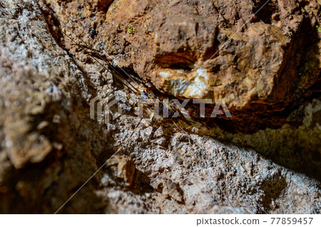 Cave Madara Kamadouma Cave Madara Kamadouma 77859457