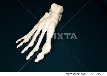 White prototype of the human foot skeleton printed on 3d printer on dark surface White prototype of the human foot skeleton printed on 3d printer on dark surface 77859518