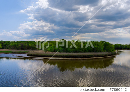 Aerial view of pond on a sunny summer day forest panorama on natural sky daylight composition 77860442