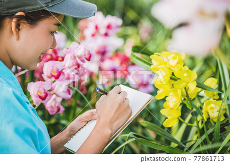 Young women write note among orchid garden. Colorful orchids, Orchid flower bloom.. Young women write note among orchid garden. Colorful orchids, Orchid flower bloom.. 77861713