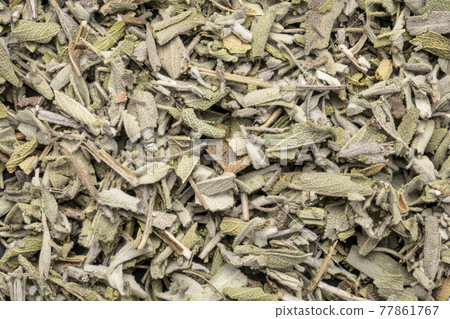 loose leaves of dry sage herb loose leaves of dry sage herb 77861767