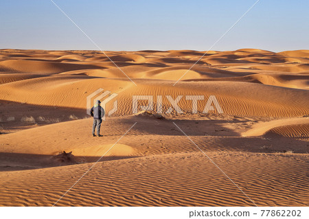 lonely male figure in a sand dunes field 77862202