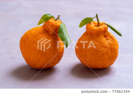 Image photo of citrus dekopon Image photo of citrus dekopon 77862344