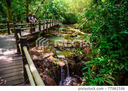 Asian couple happy travel the mangrove forest. Travel walking on a wooden bridge. Nature trail, Thanbok waterfall, recreation, travel, backpacks, nature, tourism, countryside, style, forest, 77862586