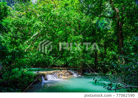 Landscape Waterfall Than Bok Khorani. (Thanbok Khoranee National Park)lake, nature trail, forest, mangrove forest, travel nature, travel Thailand, Nature Study. Attractions. Landscape Waterfall Than Bok Khorani. (Thanbok Khoranee National Park)lake, nature trail, forest, mangrove forest, travel nature, travel Thailand, Nature Study. Attractions. 77862590