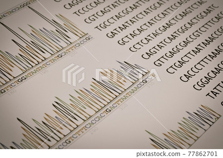 Gene sequence 77862701